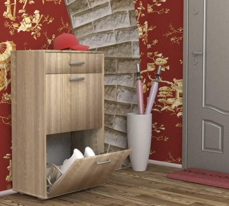 Фото Обувница ОБ-2 от производителя Пирамида в Красноперекопске по цене 5&nbsp;060 ₽