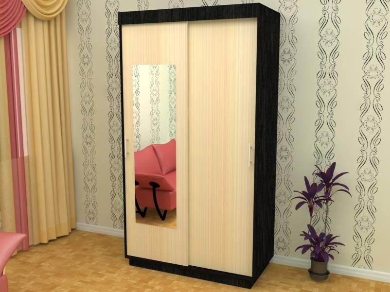 Фото Шкаф-купе ШОН-1 (2 двери) от производителя Пирамида в Красноперекопске по цене 16&nbsp;010 ₽