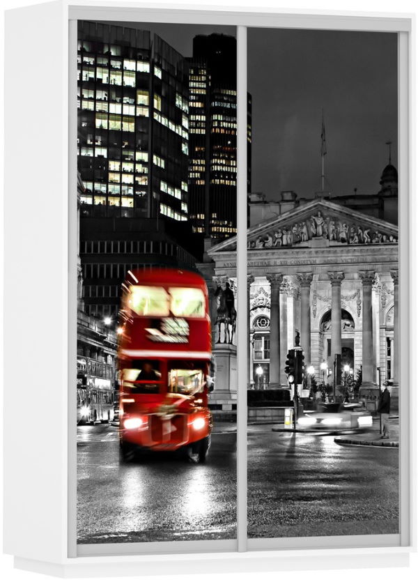 Фото Шкаф-купе Экспресс Дуо Фото (1,6х0,6х2,2 - 2 двери) от производителя Мебельная компания Е1 в Красноперекопске по цене 39 840 ₽