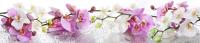 Фото  стеновая кухонная панель sp 090 производитель SV-мебель