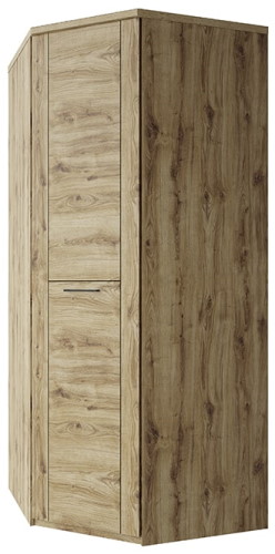 Фото Шкаф 1DG Дорсет (Doorset) (95) угловой от производителя Анрэкс в Красноперекопске по цене 29 220 ₽