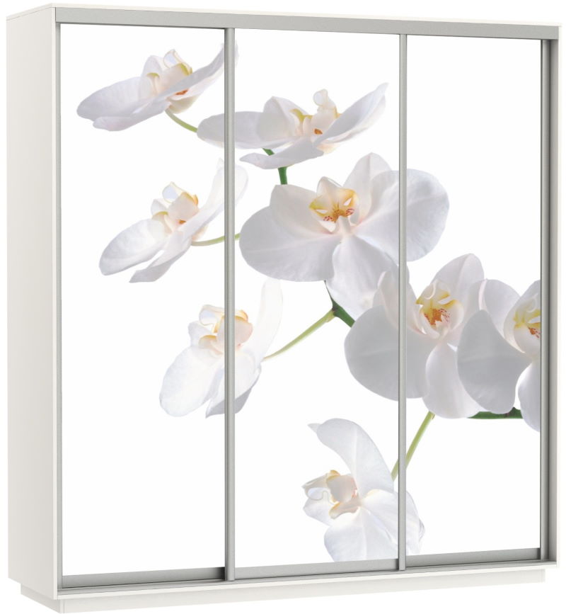 Фото Шкаф-купе Экспресс Трио Фото (2,4х0,6х2,4 - 3 двери) от производителя Мебельная компания Е1 в Красноперекопске по цене 63 870 ₽