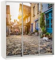 Фото shkaf-kupe-v-prikhozhuyu шкаф-купе экспресс трио фото (1,8х0,6х2,4 - 3 двери) производитель Мебельная компания Е1